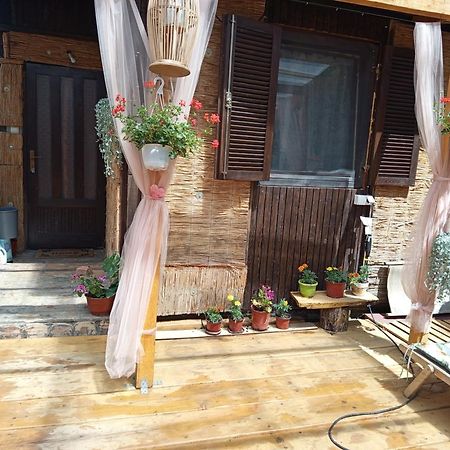 Kucica Za Odmor Lena I Matija Apartamento Sremski Karlovci Exterior foto